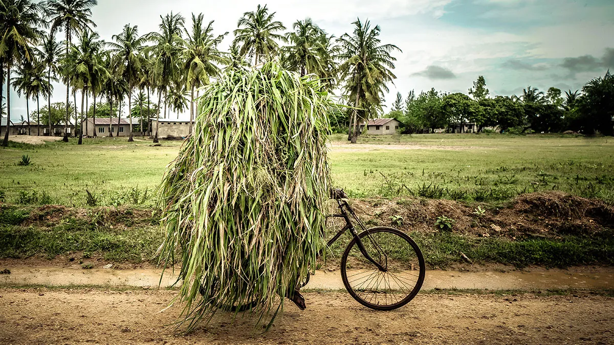 The 2025 World Food Photography Awards Shortlist Has Been Announced (31 Pics)
