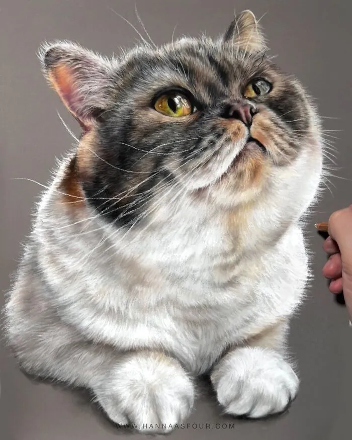 Hyperrealistic Pencil Drawings: 40 Animal Portraits Done By The Talented Hanna Asfour