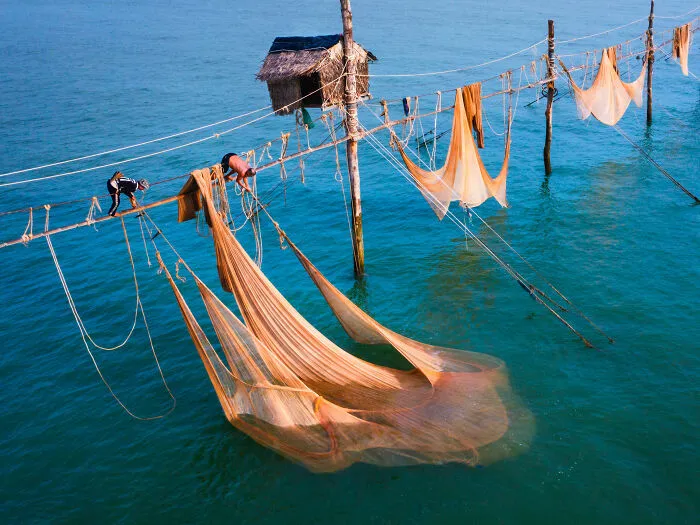 Bring Home The Harvest: Collecting The Net By Cao Thi Ngoc Diem, Viet Nam