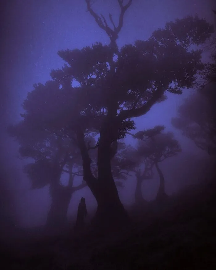 Ethereal Photography That Captures The Beauty Of Darkness And Nostalgia (49 Pics)