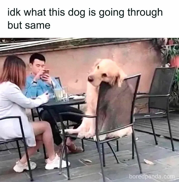 30 Hilariously Relatable Memes To Help You Understand Life Or Give Up On It
