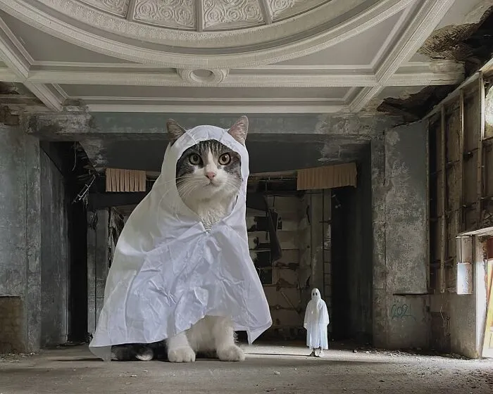 If Cats Were Giants: 24 Surreal Images Created By This Artist (New Pics)