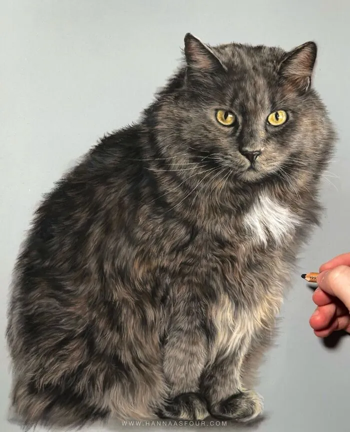 Hyperrealistic Pencil Drawings: 40 Animal Portraits Done By The Talented Hanna Asfour