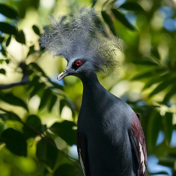 Photographer Captured 30 Captivating Images Depicting The Life Of Wild Animals
