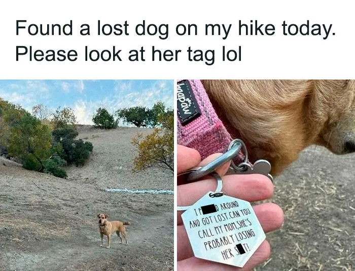 50 Hilarious Memes For You To Scroll Through When You Need To Look Busy (New Pics)