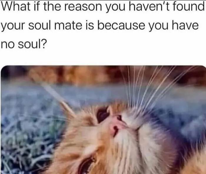 50 Funny, Unhinged And Relatable Memes For Anyone Surviving On Their Last Brain Cell