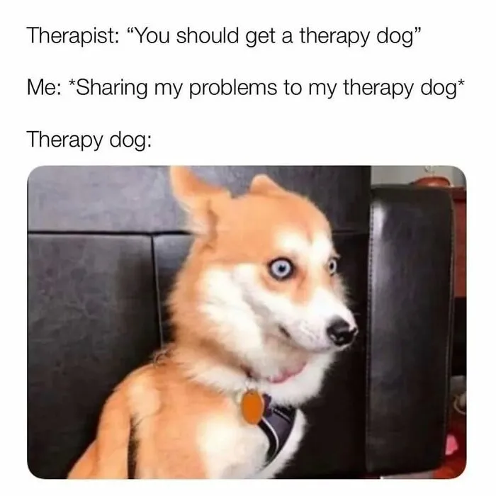 50 Funny, Unhinged And Relatable Memes For Anyone Surviving On Their Last Brain Cell