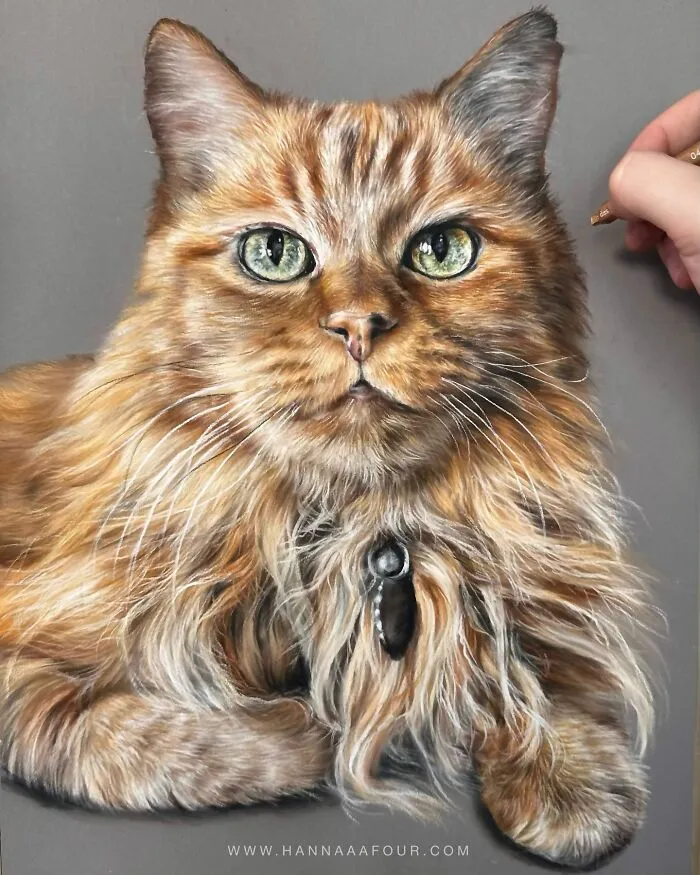 Hyperrealistic Pencil Drawings: 40 Animal Portraits Done By The Talented Hanna Asfour
