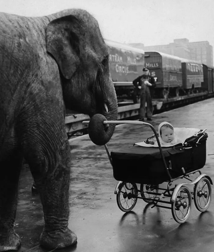 40 New B&W Photos That Capture The Beauty And Essence Of Our World, Shared By This Instagram Page