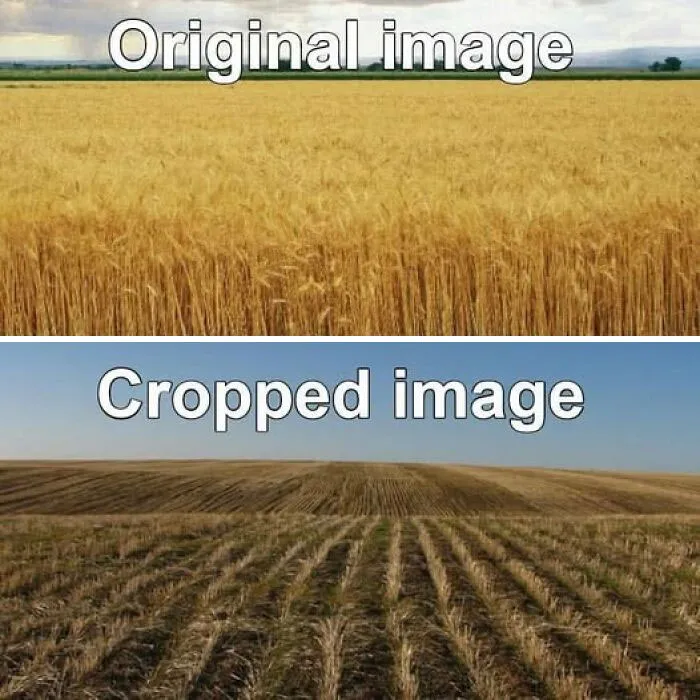 30 Literal Memes That Are Hilariously Straight To The Point (New Pics)