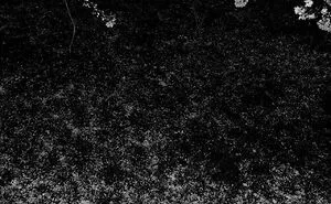 I Used Color Filters In My 30 Black-And-White Portraits To Explore Identity And Emotion