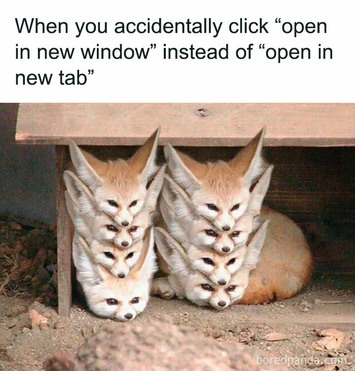 50 Funny Memes That Feel Like Putting On Lip Gloss While Plotting Revenge (New Pics)