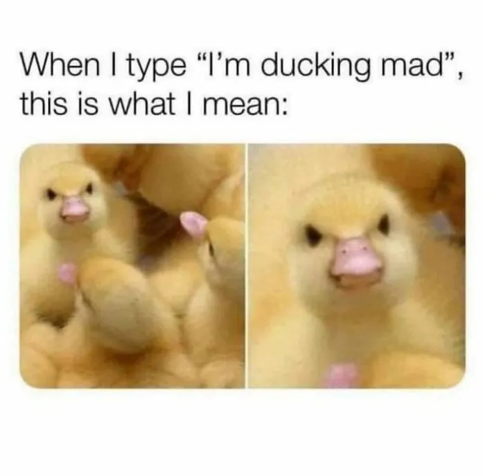50 Random Memes That Might Make The Day Feel A Bit Lighter