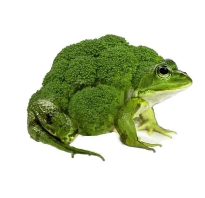 Broccoli Frog