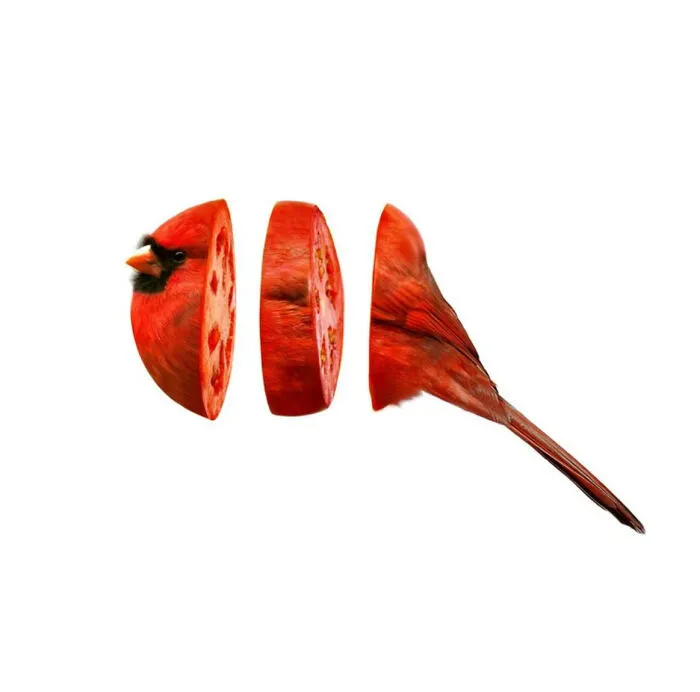Tomato Cardinal