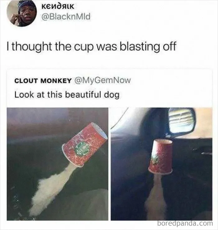 50 Funny Random Memes That Feel Like Someone Spilled The Internet On The Floor
