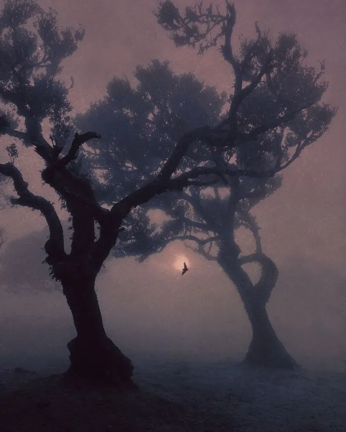 Ethereal Photography That Captures The Beauty Of Darkness And Nostalgia (49 Pics)