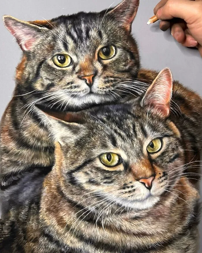 Hyperrealistic Pencil Drawings: 40 Animal Portraits Done By The Talented Hanna Asfour