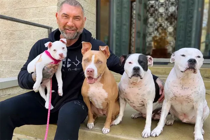 Squad Goals, Unleashed