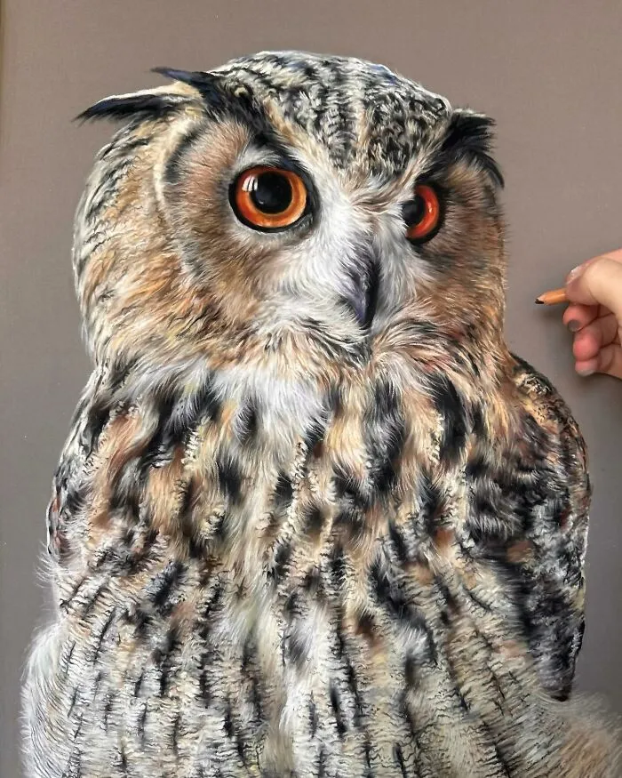 Hyperrealistic Pencil Drawings: 40 Animal Portraits Done By The Talented Hanna Asfour
