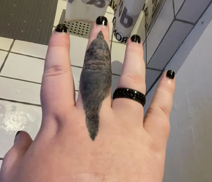 Regret