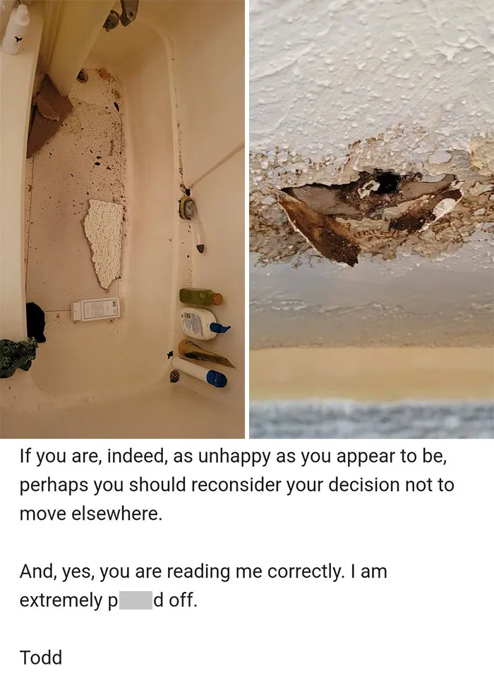 Landlord Suggests We Move Instead Of Repairing Leaky Ceilings