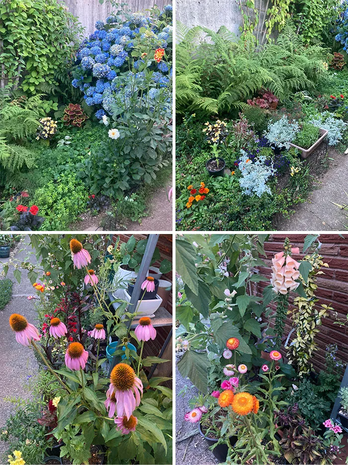 Owner Is Tearing Out Our Gardens And Putting In Grass And River Gravel