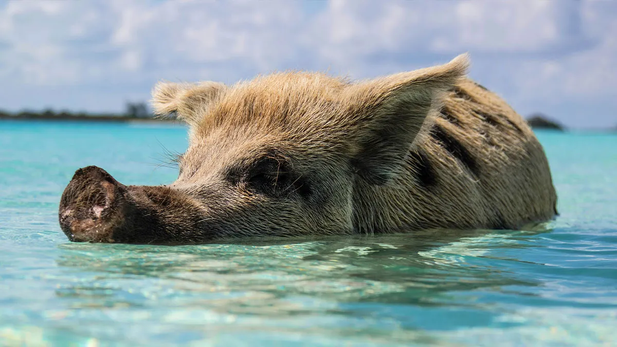 People Wish They Could've Avoided These 31 Activities That They Only Did Out Of FOMO