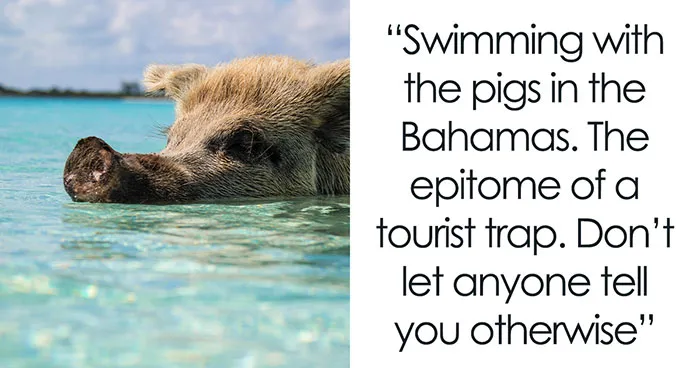 People Wish They Could've Avoided These 31 Activities That They Only Did Out Of FOMO