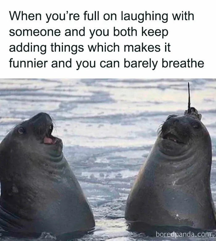 50 Funny Memes To Bring Some Much-Needed Laughter Into Your Life (New Pics)