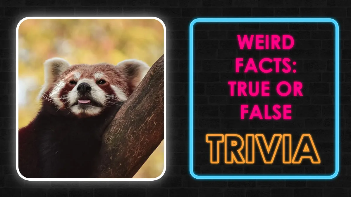 “Truth Or Trash?”: 20 Weird Facts That Sound Nonsensical But Some Of Them Are Actually True