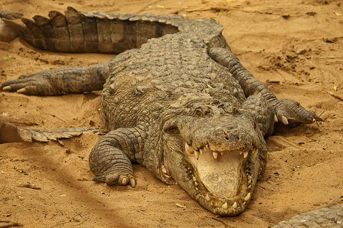 30 Scary And Unsettling Things People Wish Were Lies But Are Actually Scientific Facts