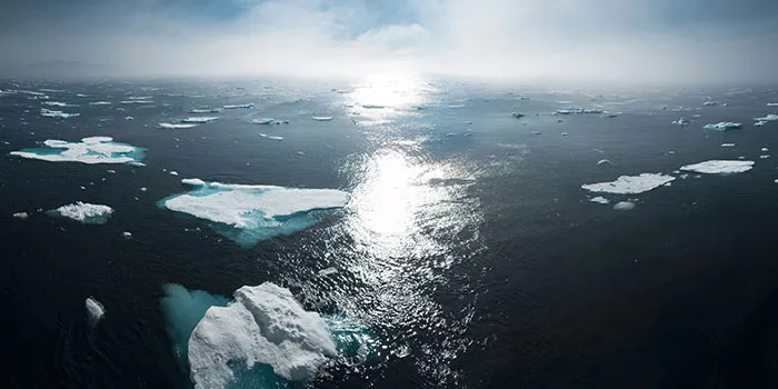30 Scary And Unsettling Things People Wish Were Lies But Are Actually Scientific Facts