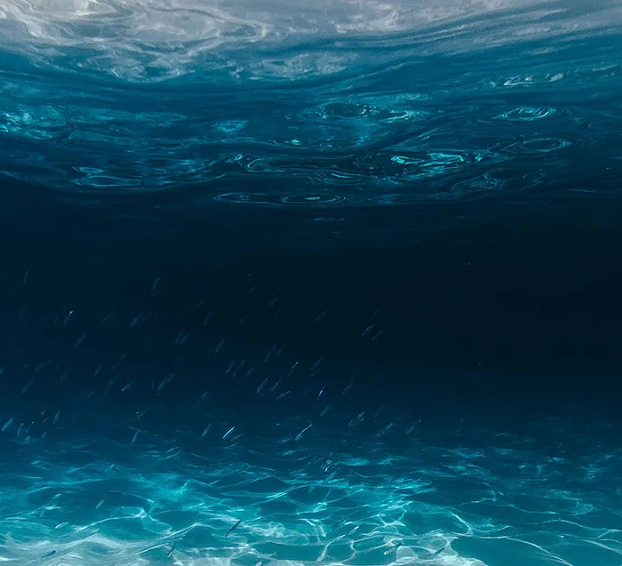 30 Scary And Unsettling Things People Wish Were Lies But Are Actually Scientific Facts