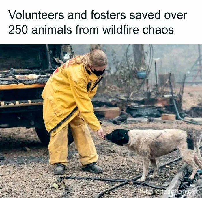 50 “Good News” Stories From “Global Positive News” To Restore Your Faith In Humanity (New Pics)
