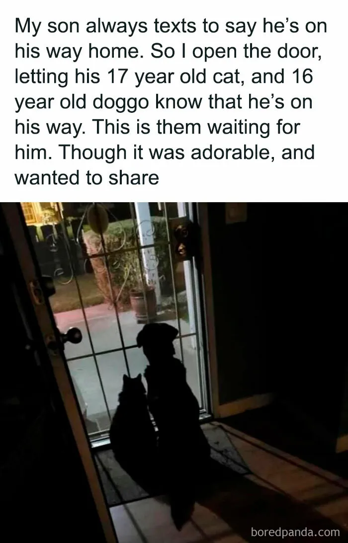 This FB Page Is Spreading Only Good Vibes And Here Are 50 Of Their Wholesome Memes