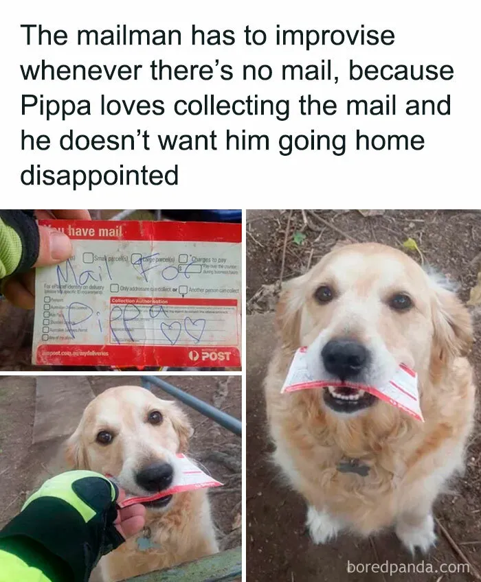This FB Page Is Spreading Only Good Vibes And Here Are 50 Of Their Wholesome Memes