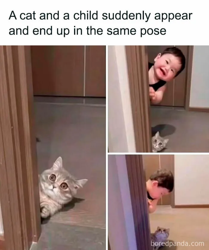 This FB Page Is Spreading Only Good Vibes And Here Are 50 Of Their Wholesome Memes
