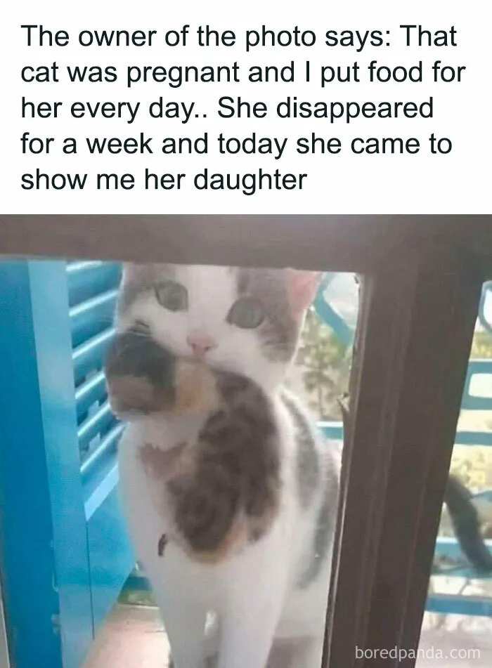 This FB Page Is Spreading Only Good Vibes And Here Are 50 Of Their Wholesome Memes