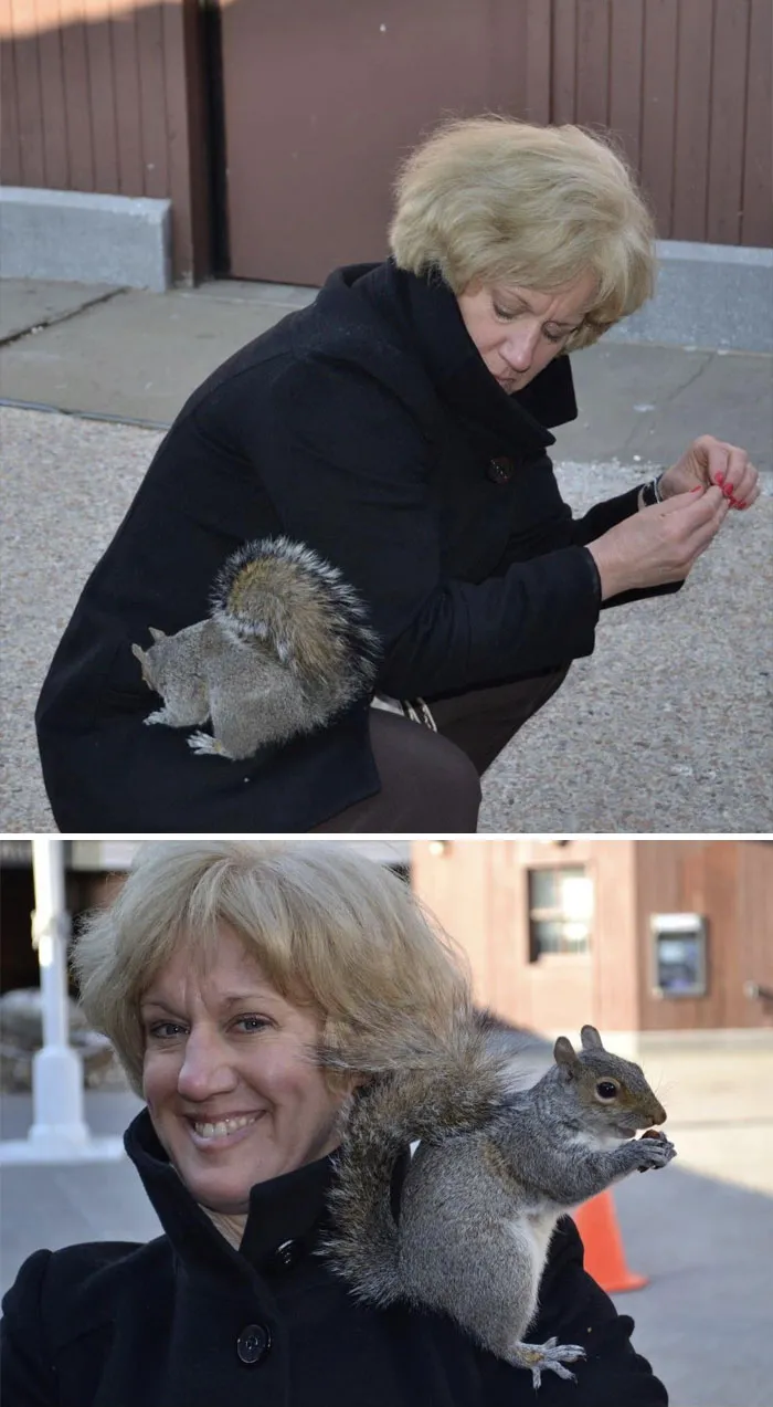 Mom Convinced A Squirrel To Pose On Her Shoulder