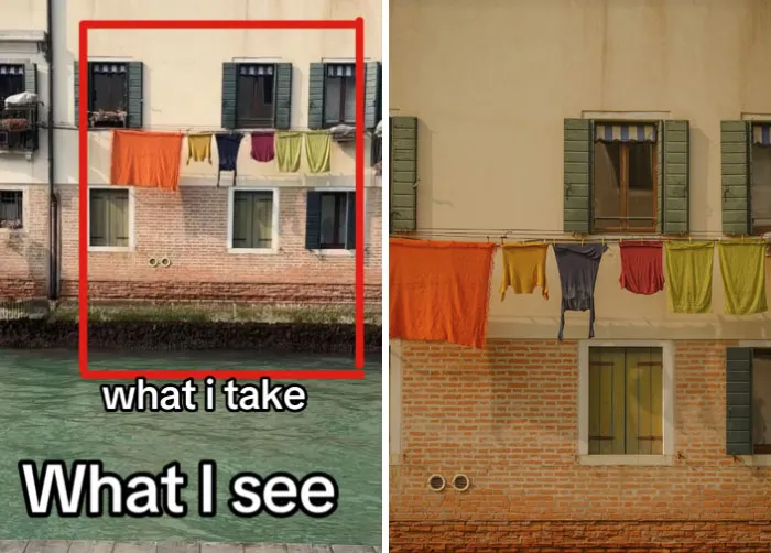 47 Side-By-Side Pics Of What A Photographer Sees And What They Choose To Take