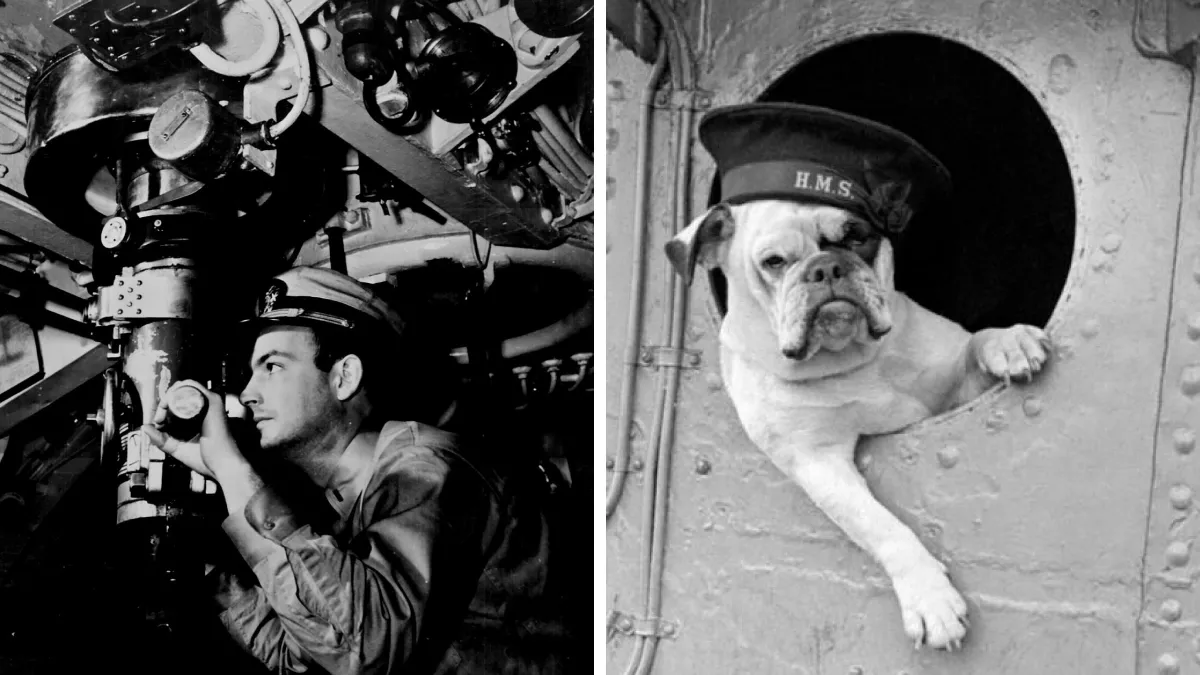 35 WWII Photos That Tell Stories Words Cannot