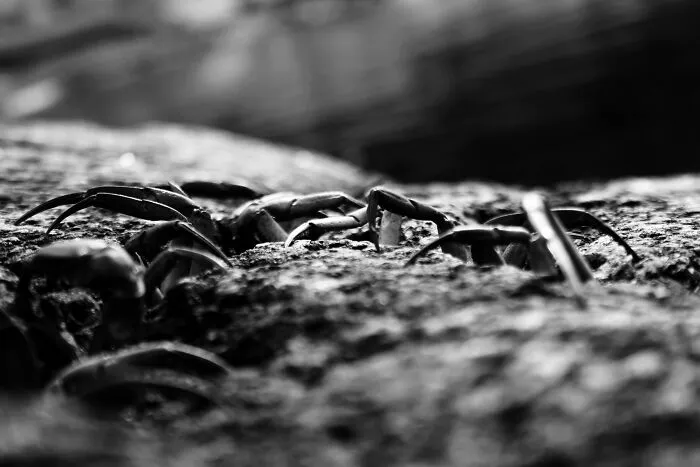 My 36 Photos Of Nature That I Took While Taking A Walk