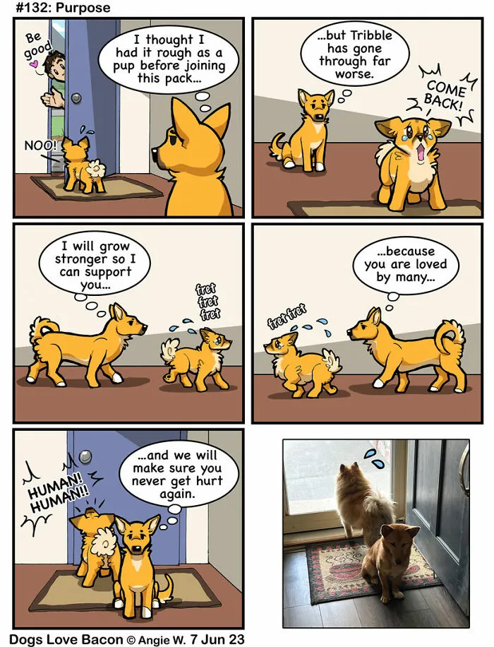 Bored Panda Community’s Best Dog Comics That Made Us Smile (30 Pics)
