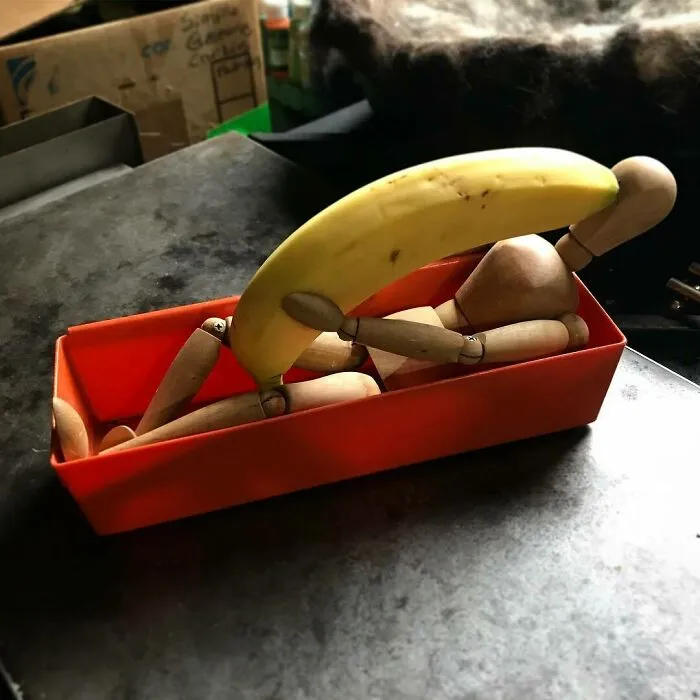 Nunca sé lo que me voy a encontrar en la cocina al levantarme