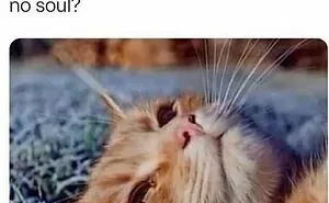 30 Hilariously Relatable Memes To Help You Understand Life Or Give Up On It
