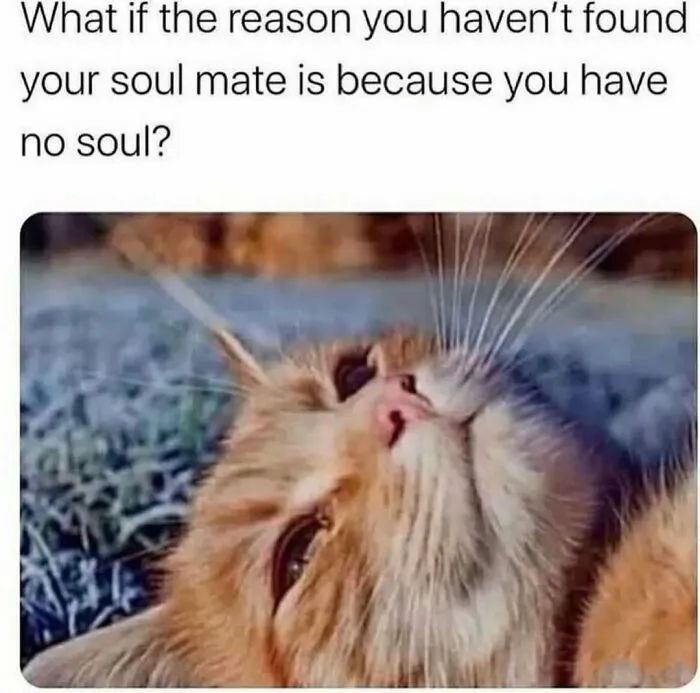 Crunchy-Philosophy-Memes