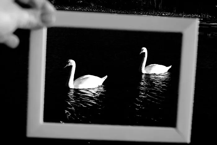 My 36 Photos Of Nature That I Took While Taking A Walk