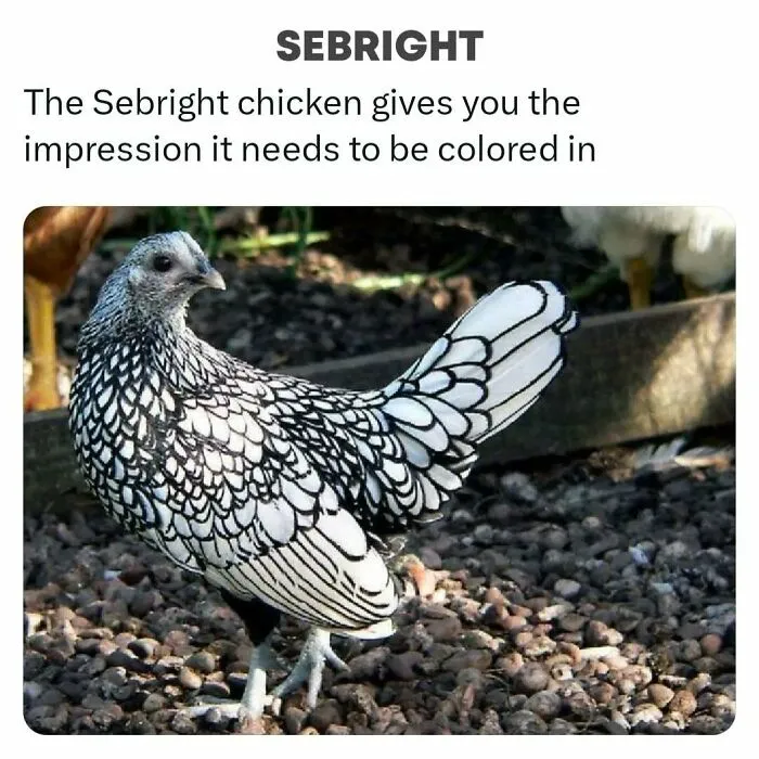 30 Surprising Random Facts You Didn’t Know You Needed, Shared On This IG Page