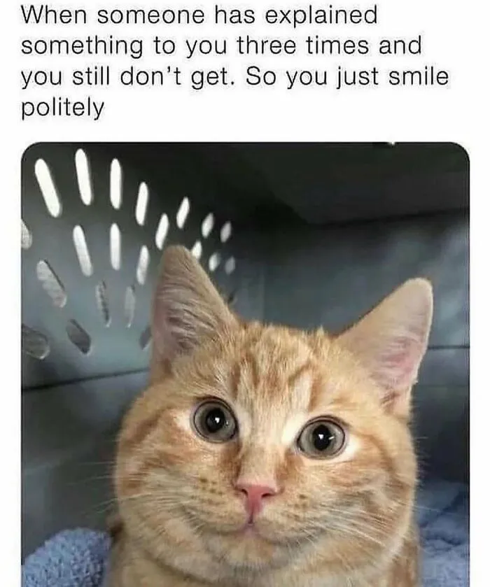 Feline Lovers Assemble, These 46 Amusing Cat Memes Might Be Just What You Need